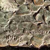 Alt text: Bronze sculpture signature detail