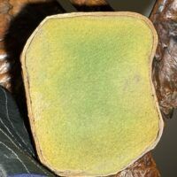 Alt text: Bronze sculpture, underside detail