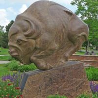 Alt text: Outdoor view of sculpture of a bison