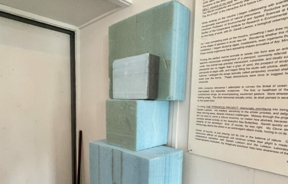 Alt text: photo of raw foam against a wall