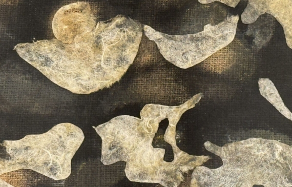 Alt text: Abstract collage