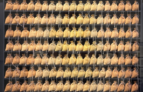 Alt text: A box construction made of rows of bags on shelves