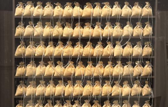 Alt text: A box construction made of rows of bags on shelves