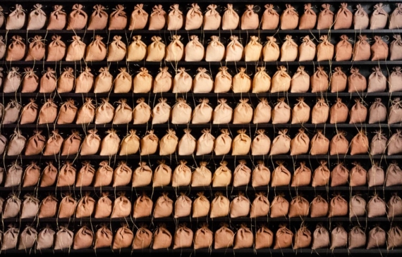 Image by Rosamond Berg