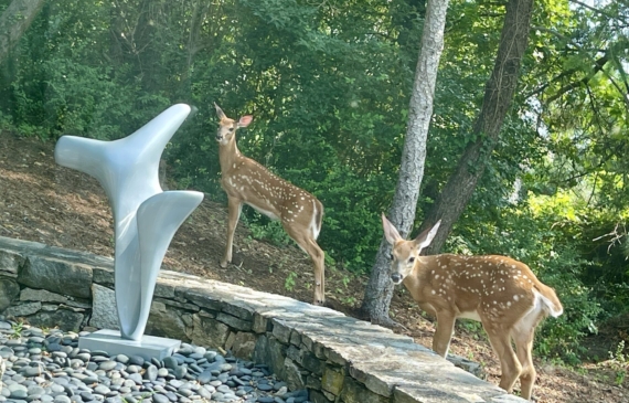 Alt text: 2 deer next to an outdoor sculpture